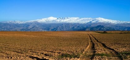 sierra nevada